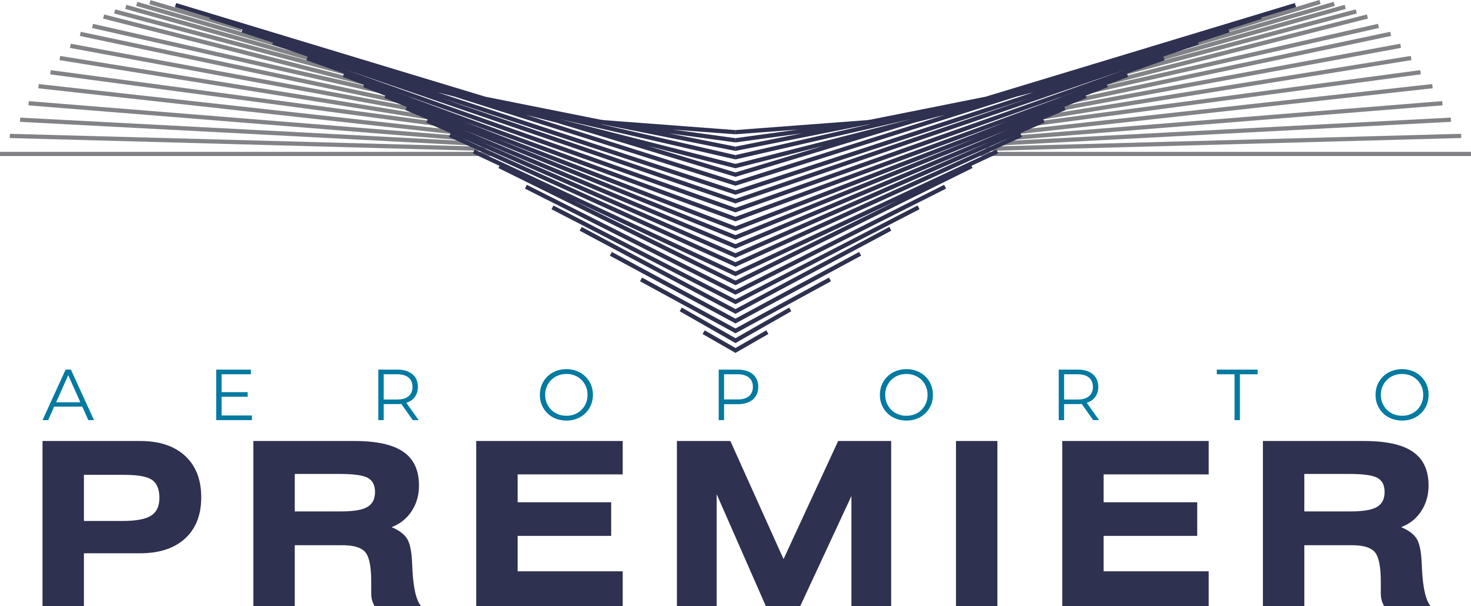 Dilceu Dal'Bosco Aviation